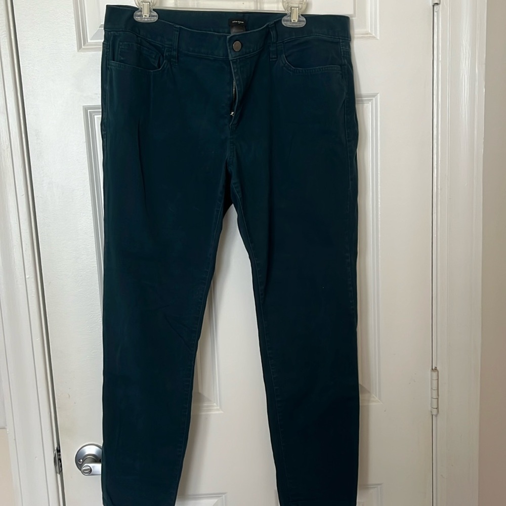 Ann Taylor Modern Pants, Suede Type Material, Green/Teal, Women 14